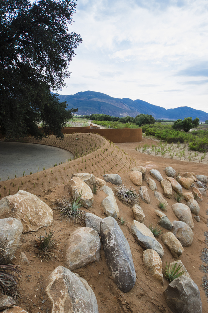 BRUMA Winery-TAC Taller de Arquitectura Contextual